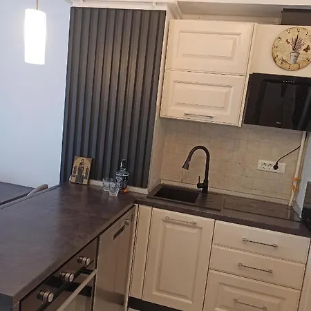 Apartment Sava Navodari